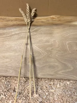 Deska do krojenia z orzecha włoskiego - monolit Driftwood 20