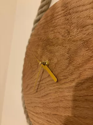 zegar ścienny boho driftwood