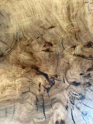 Stolik kawowy z plastra wiązu driftwood 2