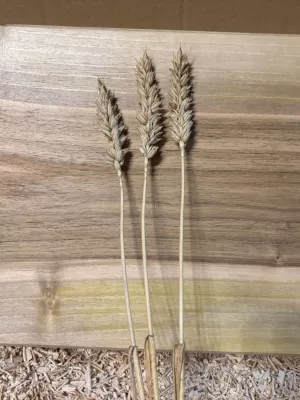 Deska do krojenia z orzecha włoskiego - monolit Driftwood 17