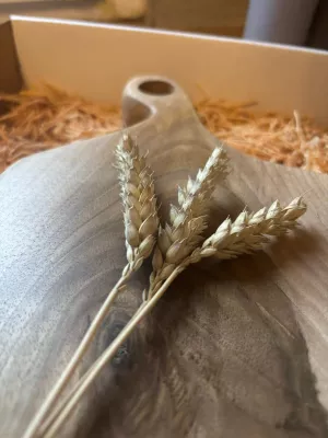 Deska do krojenia z orzecha włoskiego - monolit Driftwood nr 12