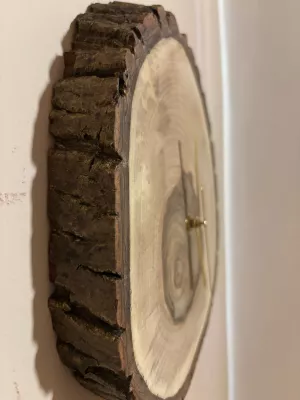 zegar z orzecha włoskiego ścienny