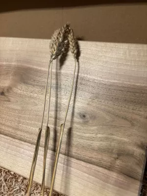 Deska do krojenia z orzecha włoskiego - monolit Driftwood 16