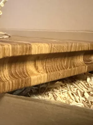 deska sztorcowa driftwood dębowa na prezent , grawer , personalizacja