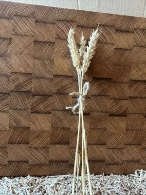 Deska sztorcowa Driftwood nr 1