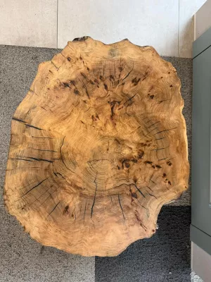 Stolik kawowy z plastra wiązu driftwood 2