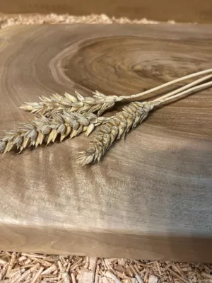 Deska do krojenia z orzecha włoskiego - monolit Driftwood 19