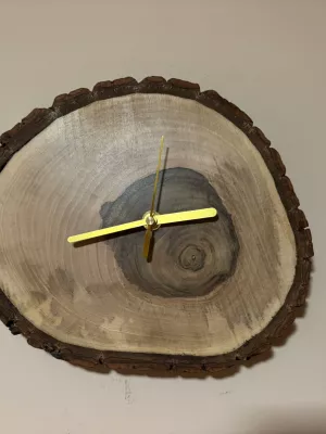 zegar z orzecha włoskiego ścienny